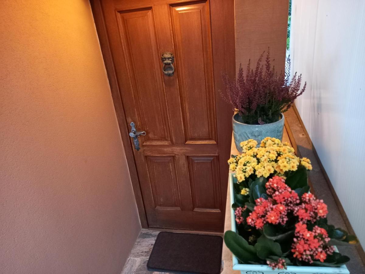 Blue Deer Apartment Umag Luaran gambar